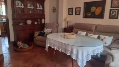 Rustic house in Zona Cueva de Menga photo 5