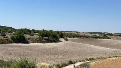 Chalet in Villalbilla photo 3