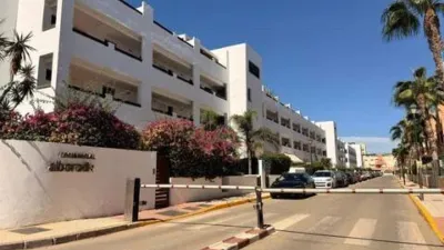 Apartment on Islas Canarias Street photo 56