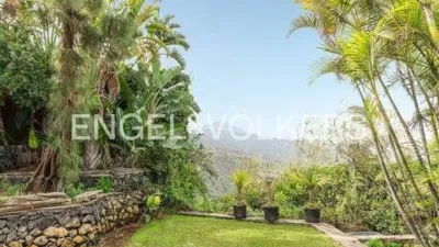 Chalet in Tacoronte photo 51
