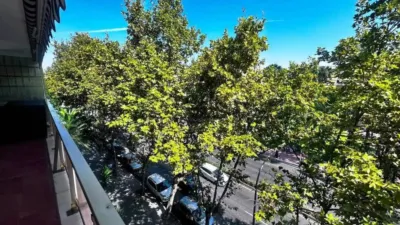 Apartment in Platja de Llevant photo 5