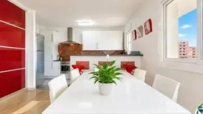 Apartment in Santa Margarida photo 11