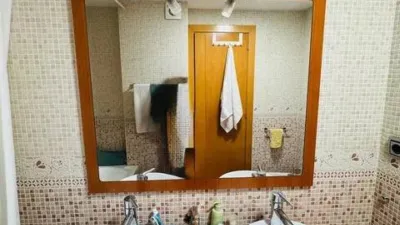 Apartment in Badia del Vallès photo 30