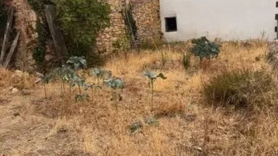 Chalet in Valle de Yerri - Deierri photo 4