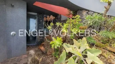 Chalet in Tacoronte photo 87