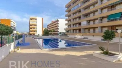 Apartment in Los Balcones-Los Altos-Punta Prima photo 6
