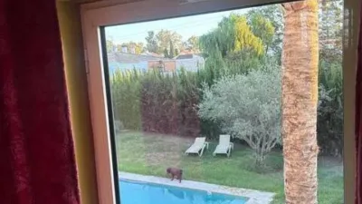 Chalet in Los Barrios photo 48