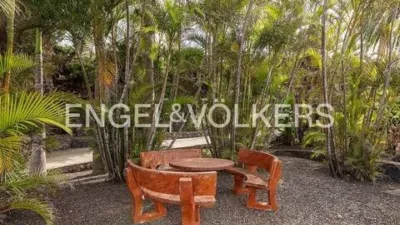 Chalet in Tacoronte photo 50