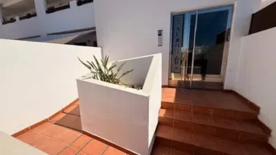 Apartment on Islas Canarias Street photo 53