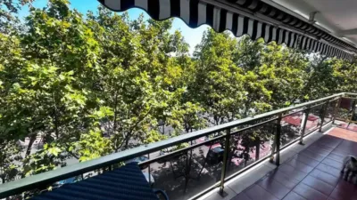 Apartment in Platja de Llevant photo 4