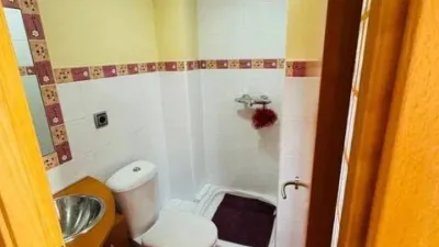 Apartment in Badia del Vallès photo 16
