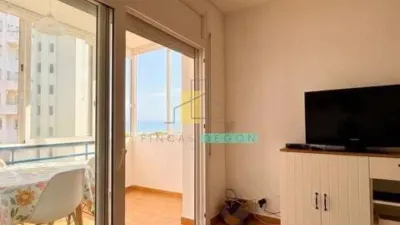 Apartment in Santa Margarida photo 5