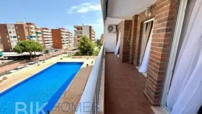 Apartment in Los Balcones-Los Altos-Punta Prima photo 19