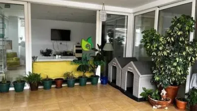 Terraced house in Miajadas photo 6