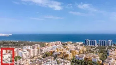 Apartment in Los Balcones-Los Altos-Punta Prima photo 2