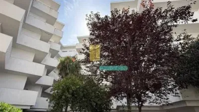 Apartment in Santa Margarida photo 15