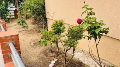 Apartment in Badia del Vallès photo 35