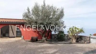Chalet in Tacoronte photo 53