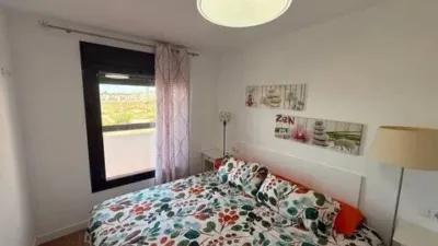 Apartment on Islas Canarias Street photo 17