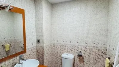 Apartment in Badia del Vallès photo 31