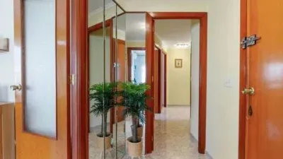 Apartment in Centro photo 7