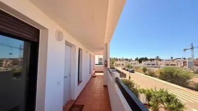 Apartment on Islas Canarias Street photo 46
