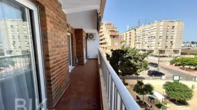 Apartment in Los Balcones-Los Altos-Punta Prima photo 18