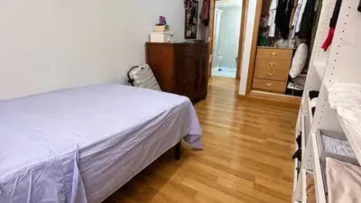Apartment in Murcia Capital photo 20