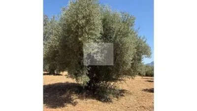 Rustic house in Horta de Sant Joan photo 19