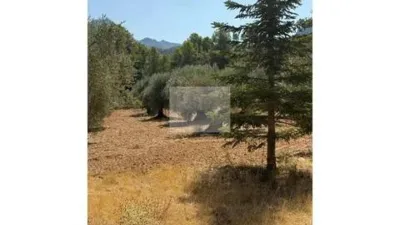 Rustic house in Horta de Sant Joan photo 14