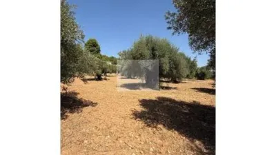 Rustic house in Horta de Sant Joan photo 17