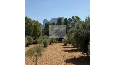Rustic house in Horta de Sant Joan photo 11
