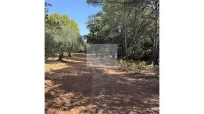 Rustic house in Horta de Sant Joan photo 20