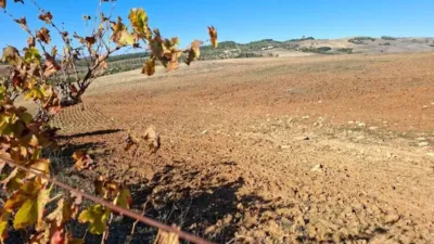 Rustic property in El Bosque photo 2