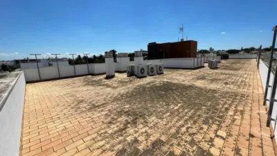 Apartment in Chiclana de la Frontera photo 25