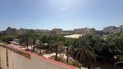 Apartment in Nou Alacant photo 9