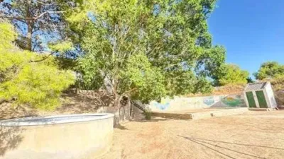 Chalet in Crevillent photo 29