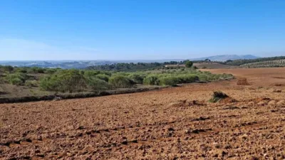 Rustic property in El Bosque photo 3