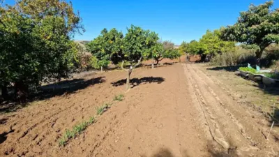 Rustic property in El Bosque photo 5
