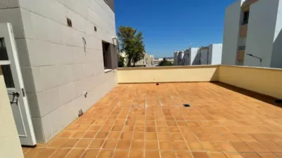 Apartment in Chiclana de la Frontera photo 5