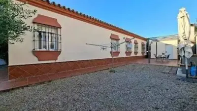 Chalet in Chiclana de la Frontera photo 4