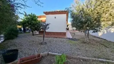 Chalet in Chiclana de la Frontera photo 3
