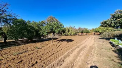 Rustic property in El Bosque photo 4
