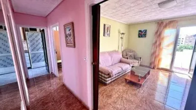 Apartment in Nou Alacant photo 7