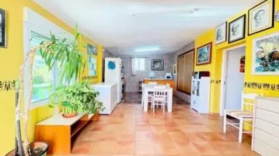 Chalet in Crevillent photo 7