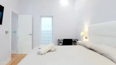 Apartment in Embajadores-Lavapiés photo 13