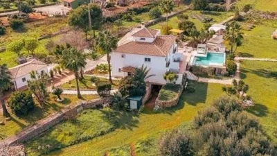 Chalet in Pedreguer photo 3