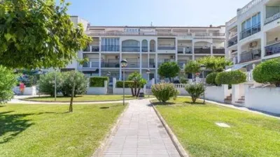 Apartment in Carrer de Sant Maurici photo 28