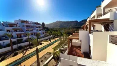 Apartment on Ceuta Street photo 45