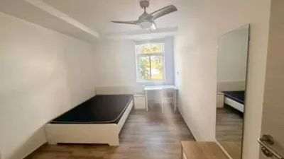 Apartment in Aiora photo 12